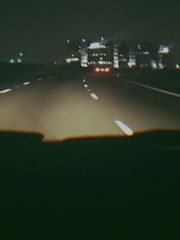 히트맨 / 뱀은 흙을 먹는다