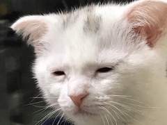 소재 추천 !!!!!!!!!!!!!