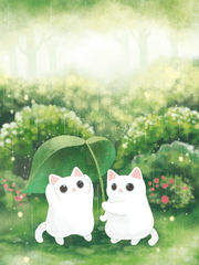 인간 같지만 고양이 같은 내 새끼