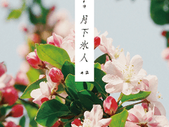 [Sample?] 월하빙인(月下氷人)