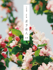 월하빙인(月下氷人)