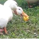 mynameisrhtkarlatmdfldhkdlvm