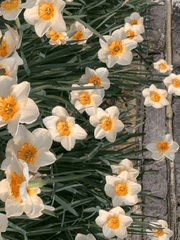 쉿- 마음의 소리를 들어주세요!