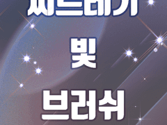 찌르레기 빛 브러쉬 소재 세트