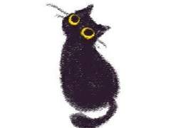 1- 고양이와 만남