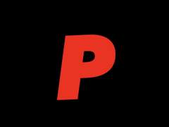 P를 죽인 범인을 찾아라.