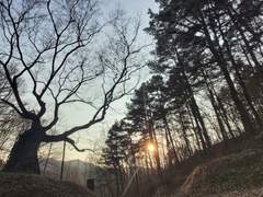 또바기 그린내 7