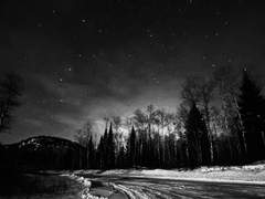 흔치않은 조직물