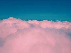 2022 불문 제출실패소설