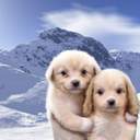 삶은계란이다...