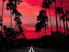 Apocalypse Romance Cliché 1