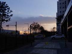 공지 아닌 공지