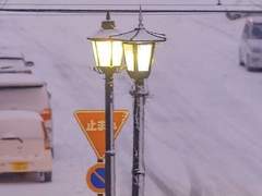 [그너사] 白澤 かずま🎬