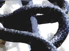 미션: 뱀의 뿌리 로봇과 대련하기