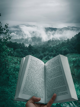 캐릭터들의 이야기, 고록, 세계관 설정 등.