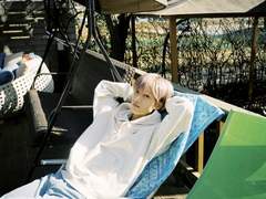 이유 없는 지성 2