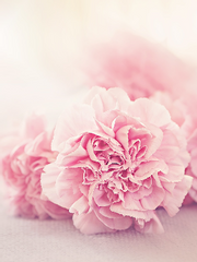 '사랑'이라 부르는 것을 알려주세요