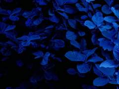 조급해하지 말라.