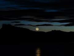 A ghost’s endeavor*