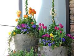 우연처럼, 인연처럼, 운명처럼...