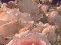 Lovelovelovelovelovelovelovelovelovelovelovelovelovelovelovelovelovelovelove……