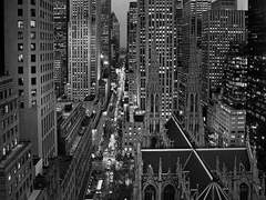 체리빛 축복-'제인 볼렌티노' 독백