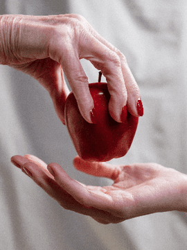 백설공주와 일곱난쟁이