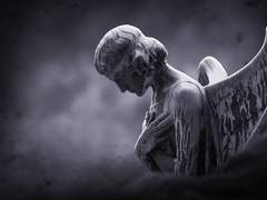 연구토론부 / Zion U. Athénaq / 19