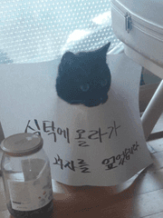 미스터리 수사반