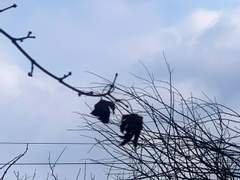 잘가, 겨울/정 서