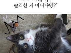 가끔 스스로의 열망에 솔직한 이야기를 쓰고 싶어집니다.