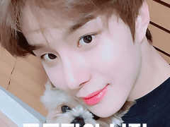 포토피아 보정 수치