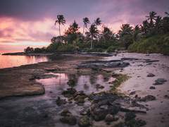 저 녀석들이랑 합숙이요?!