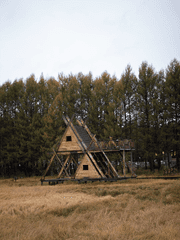 [하이큐] 숲 속 부엉이네