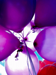 전시회, Lucid Dream