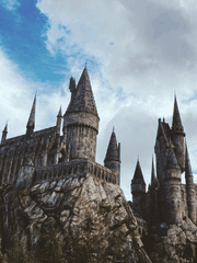 [시리해리]Harry Potter and Padfoot White