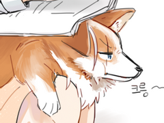 사이퍼즈 연성 모음