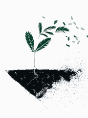 내가 생각하는 인생, 그리고 삶에 대하여