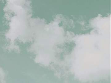 그 청춘의 지갑사정