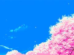 아카아무 시뮬레이션