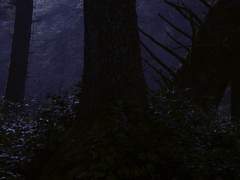 Was ist Gerechtigkeit?