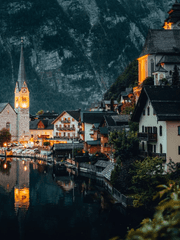 킹스턴 베일 스쿨