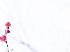 [화산귀환] 요람가(搖籃歌)