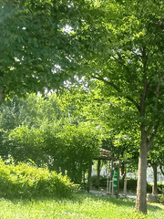 좀좀따리 단편이나 소재들