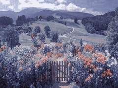 15살로 트립한 케일(1)