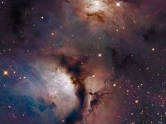 흑호의 후예 조의신(1)