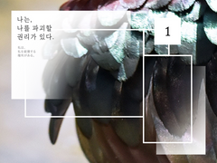 나나파권 - 토익