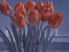 잊을 수 없을거야