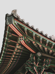 극락조(極樂鳥)