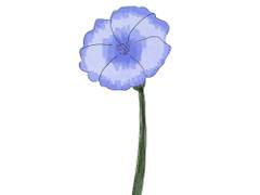 도망친 왕자 키르아x식물 연구원 곤 썰 上